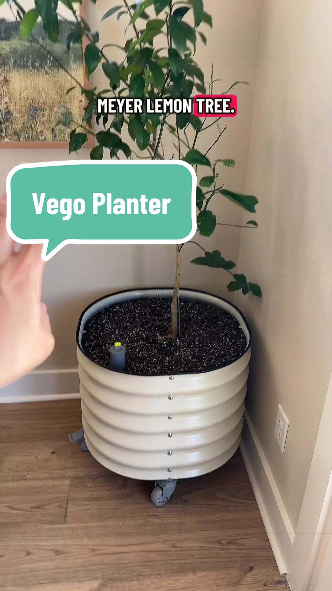 @Rachel Warren 🌱👋🏻