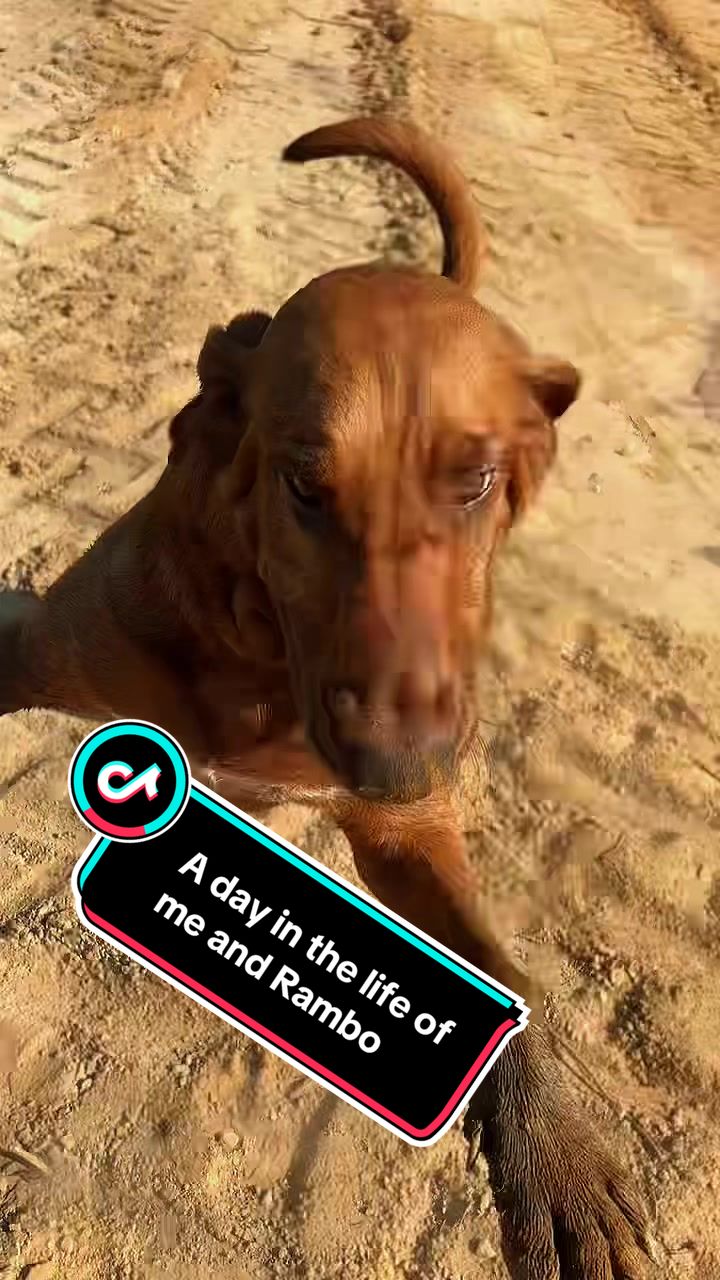 @ChetBailey