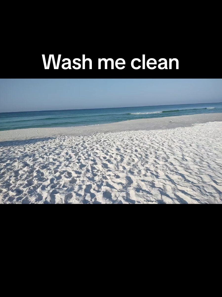 @Susan Carriker