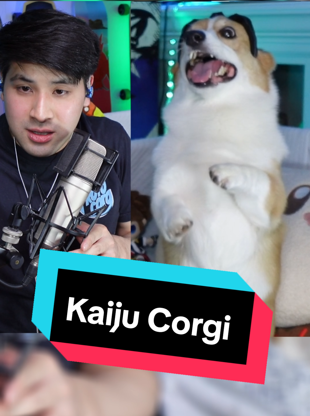 @Protocorg | Twitch Streamer