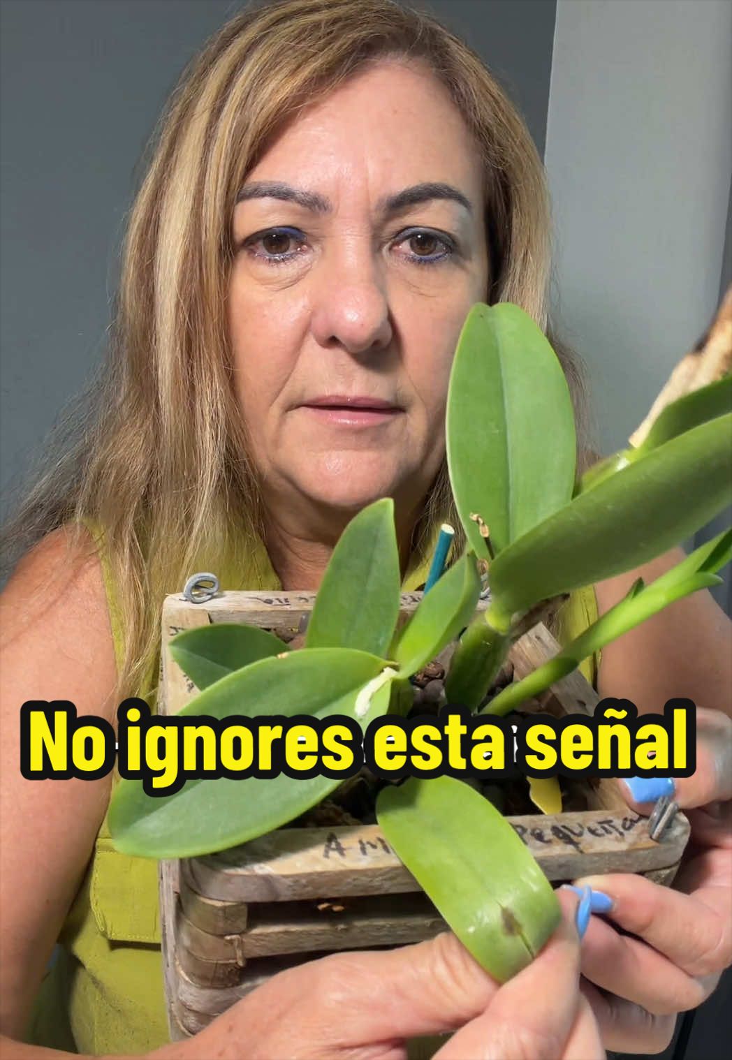 @Aprendiendo con Ana