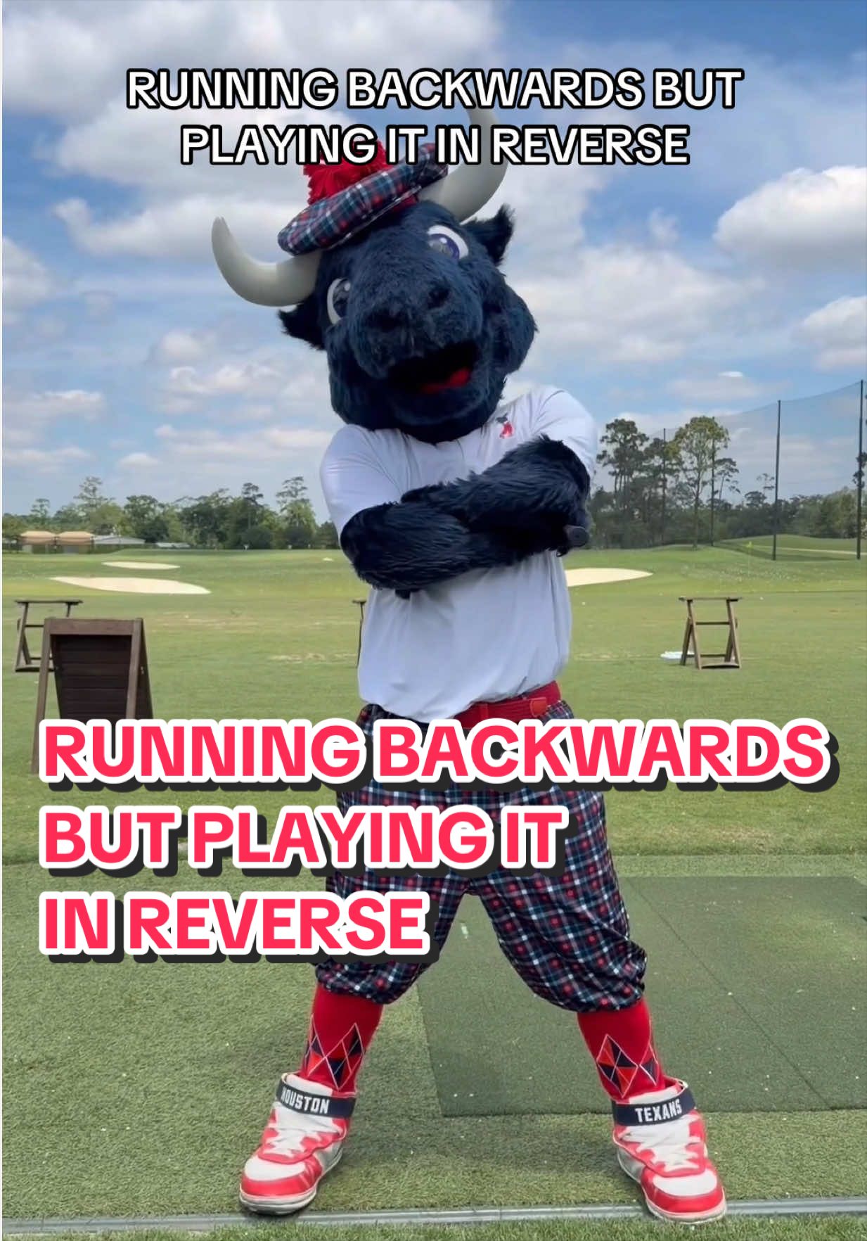 @TORO 🐃