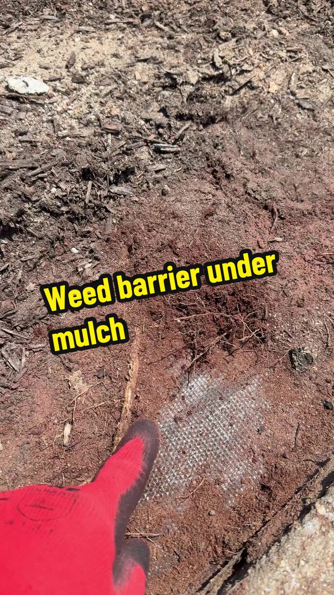 @Lawn Answers