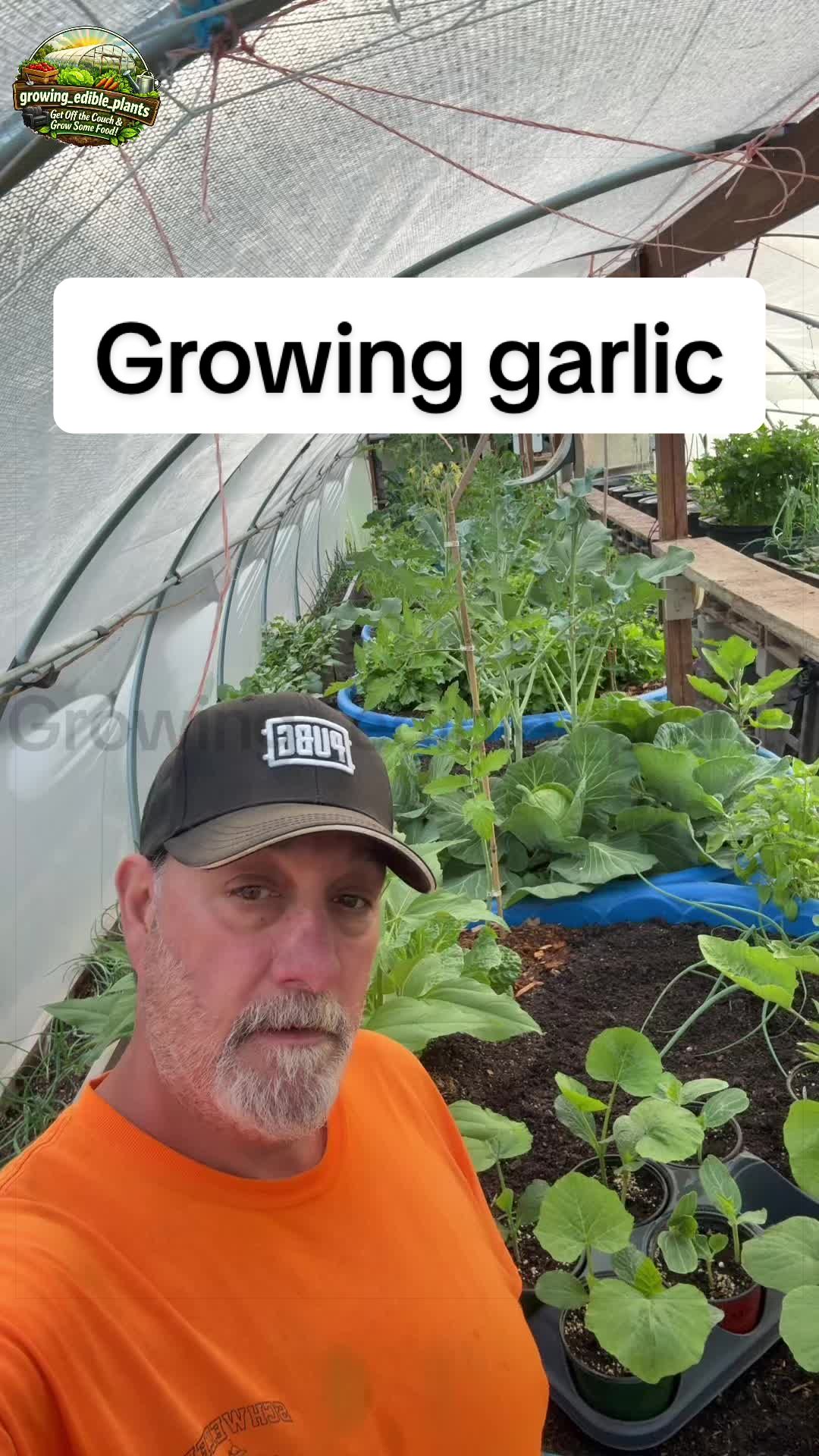 @GROWING_EDIBLE_PLANTS