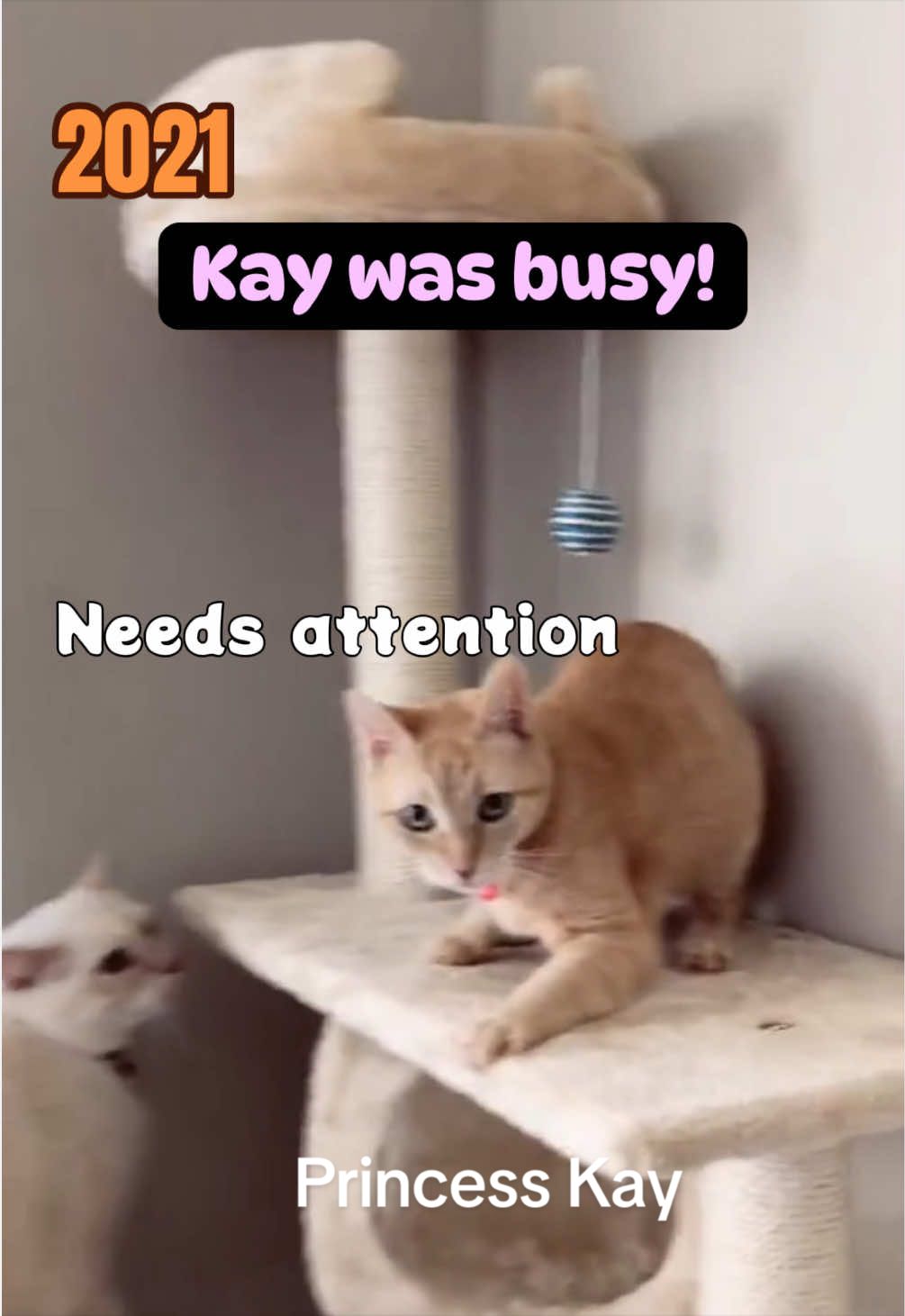 @Kay