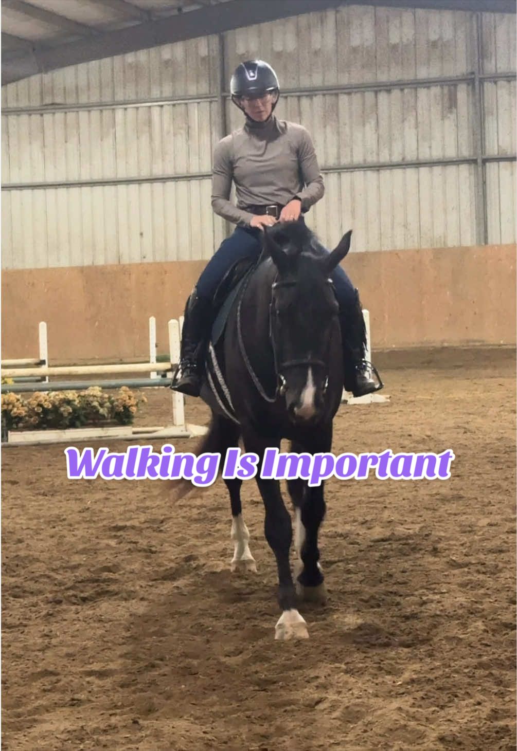@Equestrian |🦄 Mom