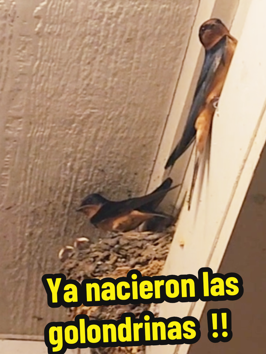 @Mi Rincón Favorito
