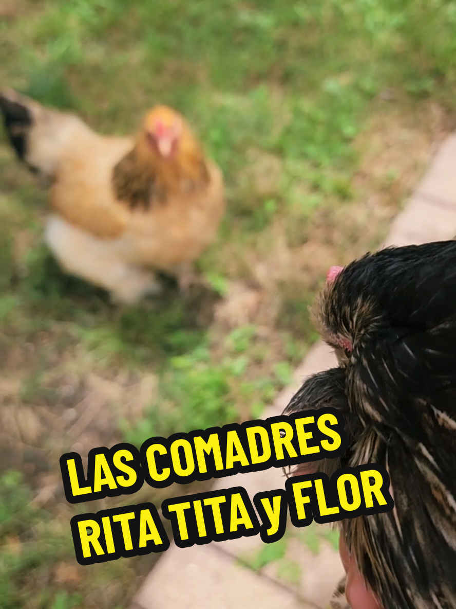 @Mi Rinc&oacute;n Favorito