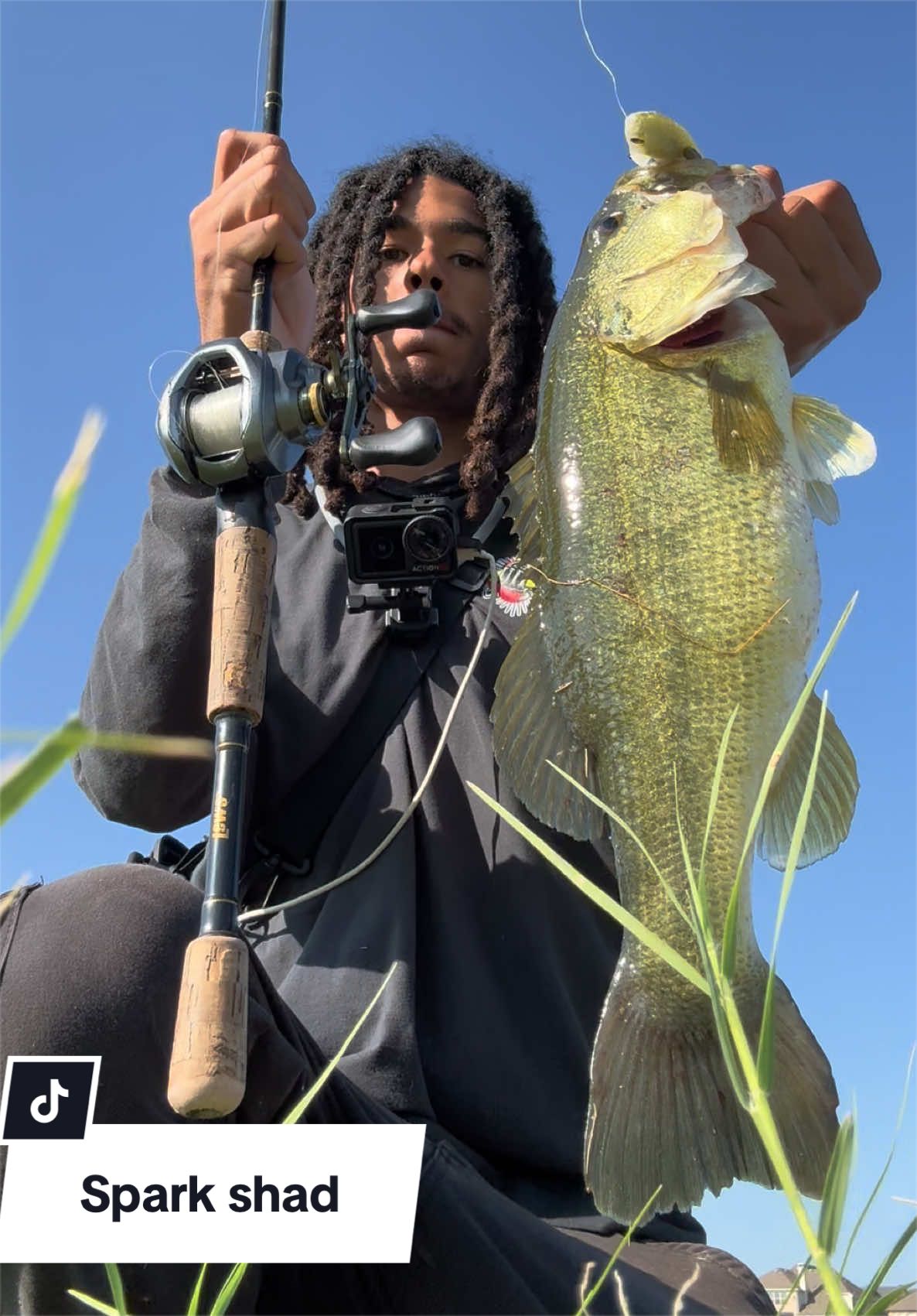 @Lunkerhunter🪵