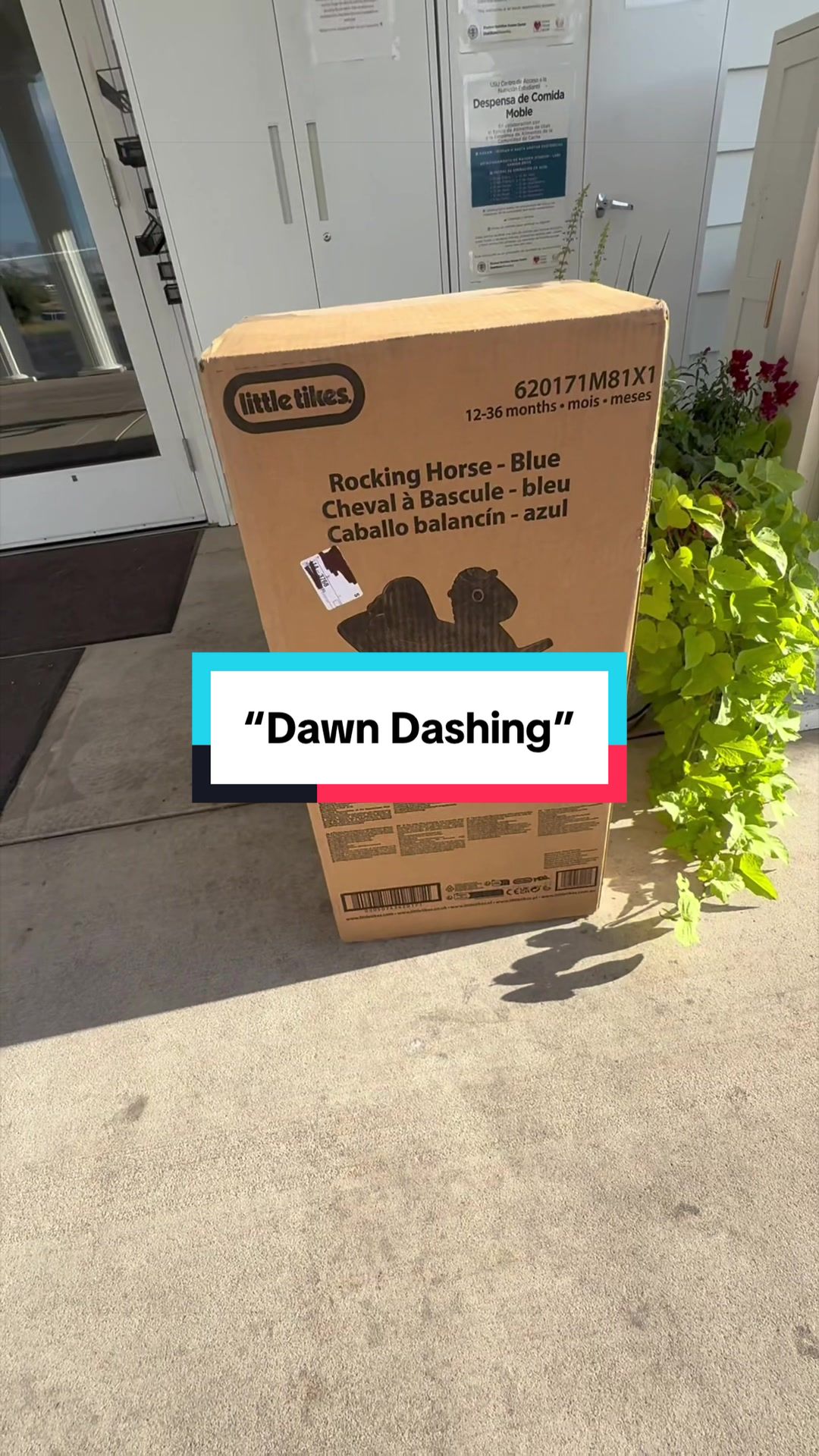 @Dawn 🧡🐱