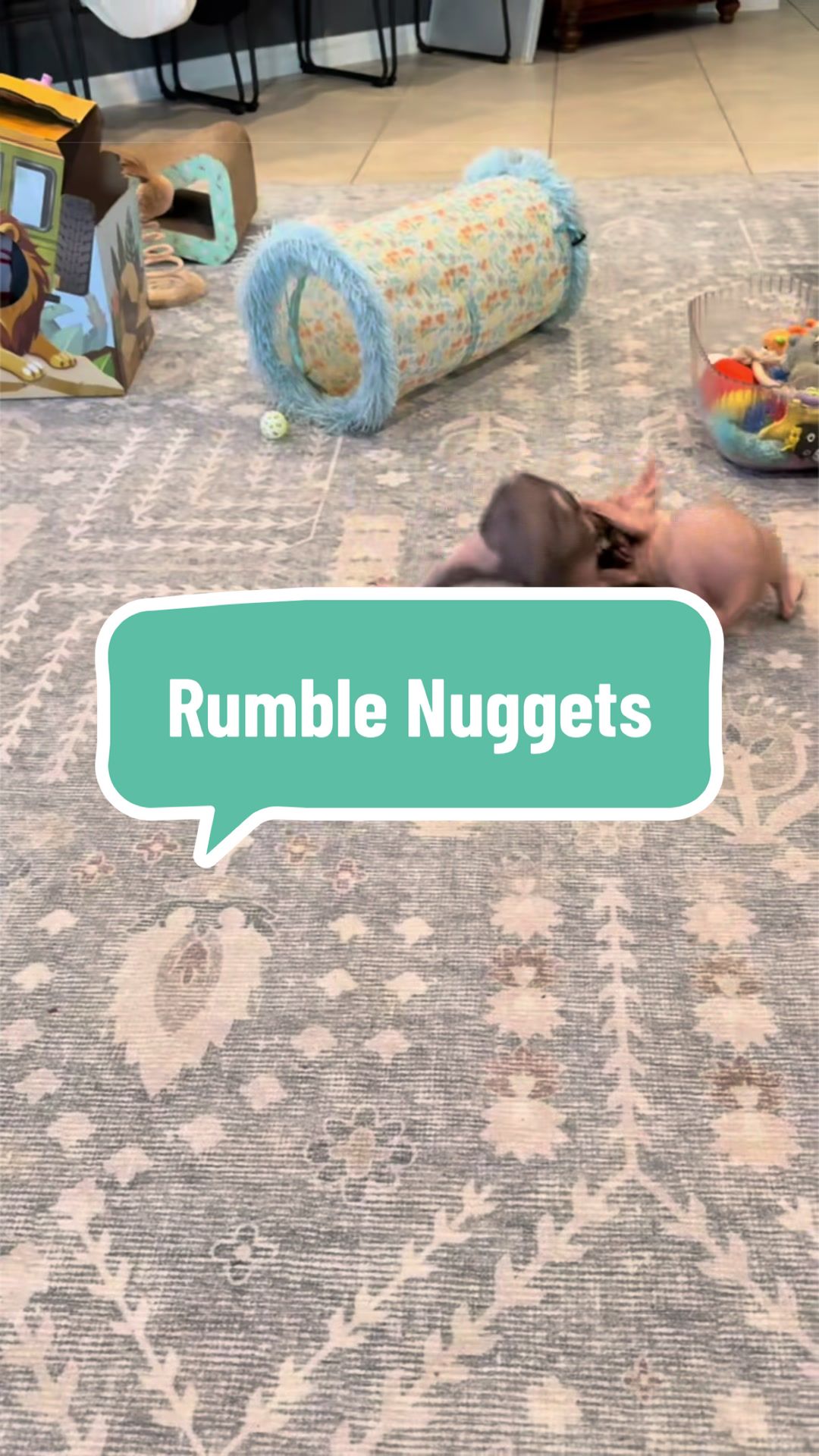 @Naked Nuggets Nursery 🖤