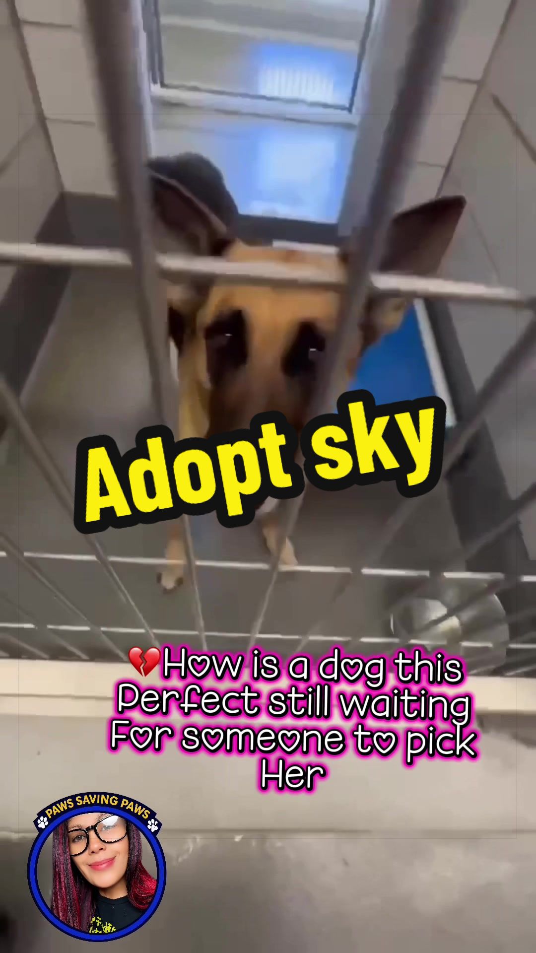 @ʙᴇ ᴛʜᴇɪʀ ᴠᴏɪᴄᴇ🐾PSP1🫶🏻🐾🐶❤️