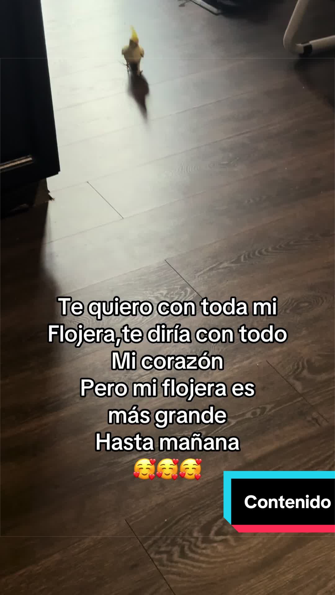 @Yohandragonz