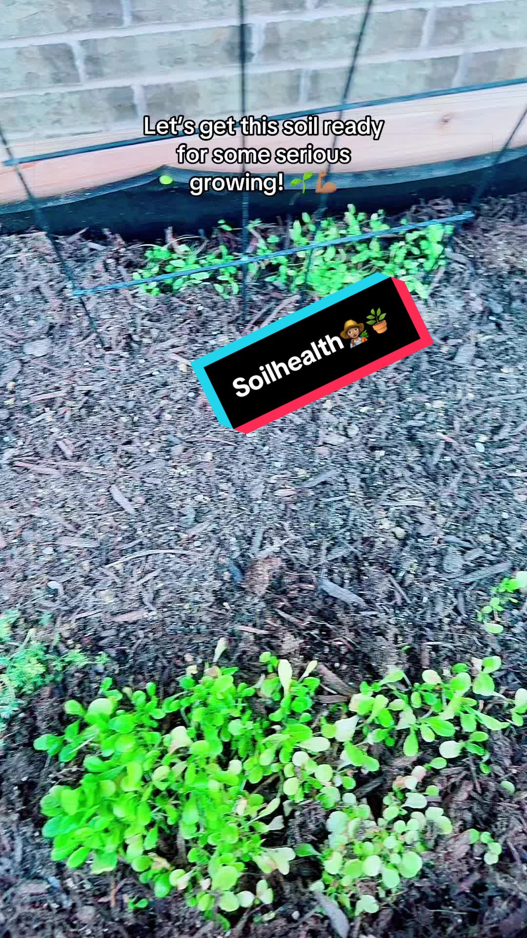 @TeeTee ❌♋️🦀
