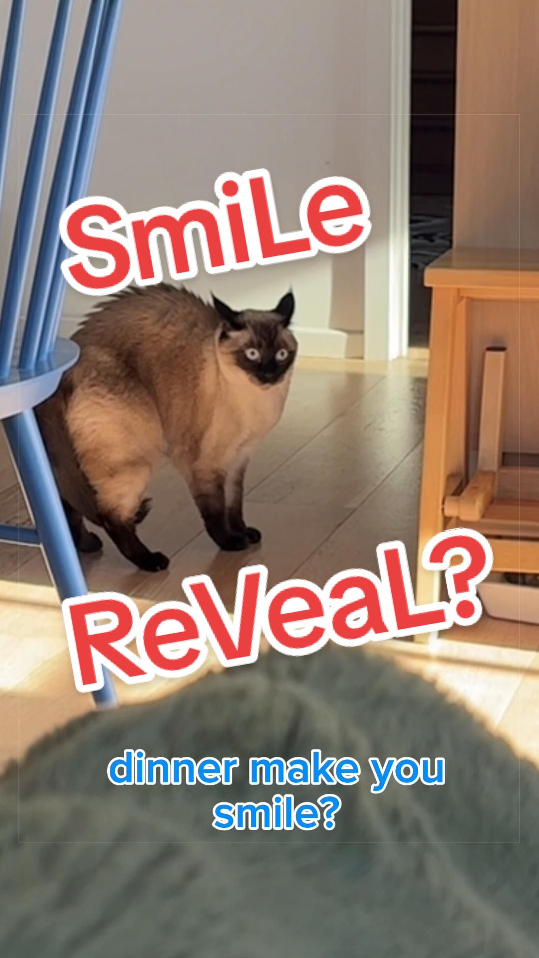 @Merv The Cat