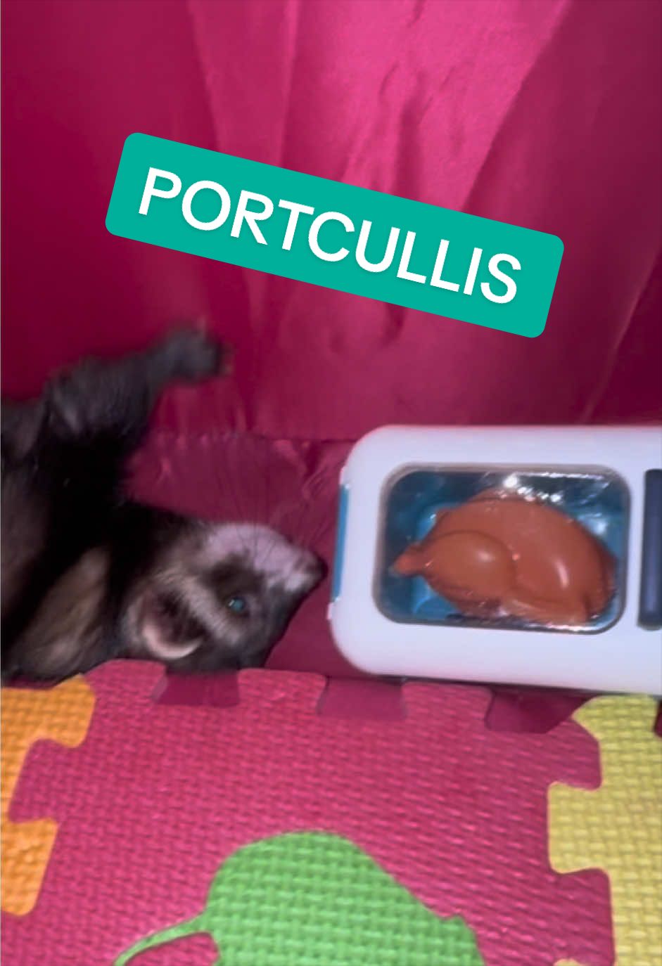 @Veritologic