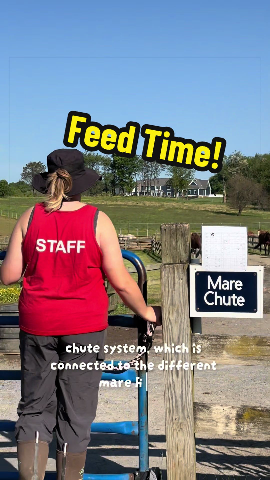 @Days End Farm Horse Rescue