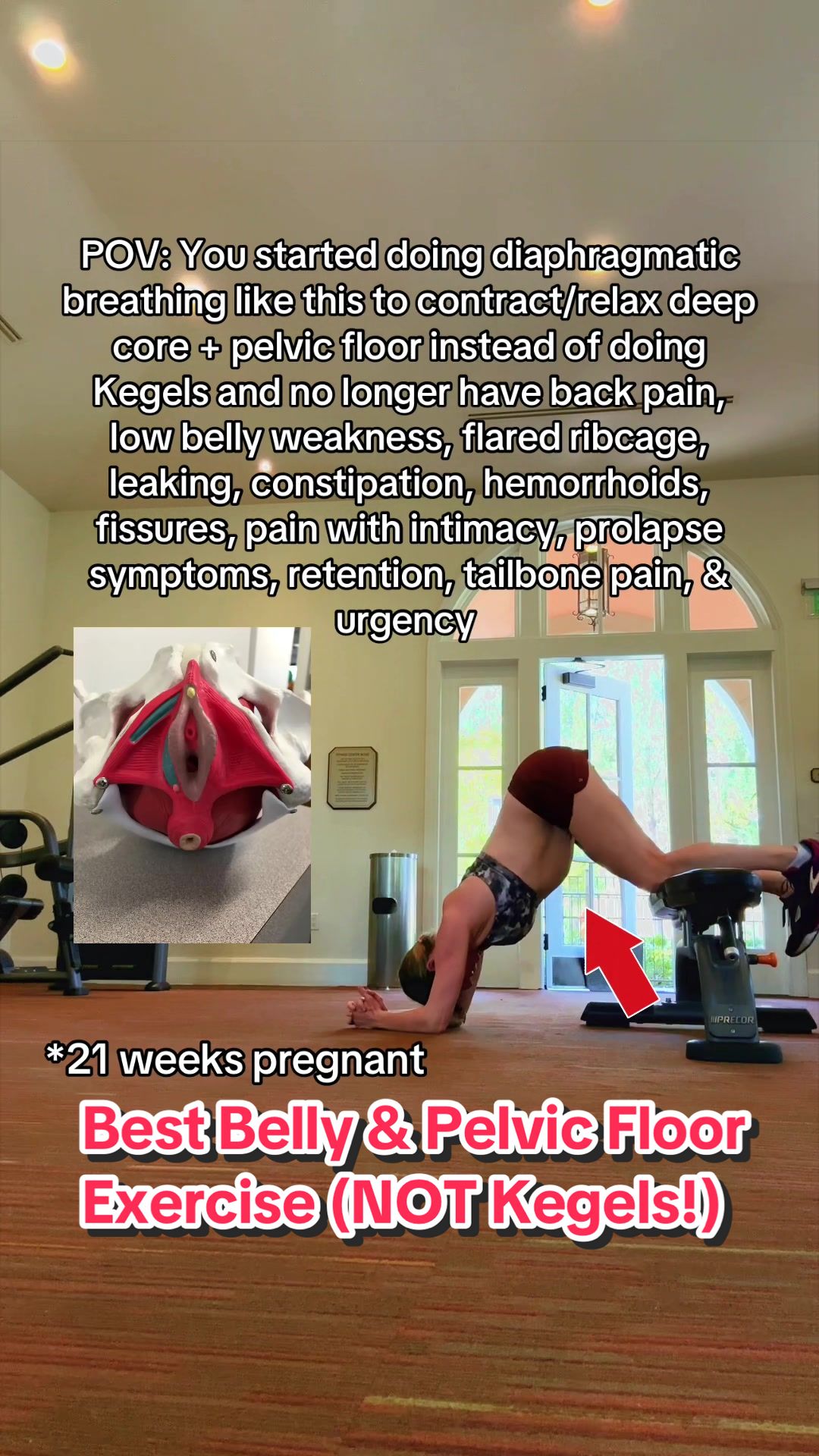 @Dr. Kelly Peterson PT,DPT,PRPC