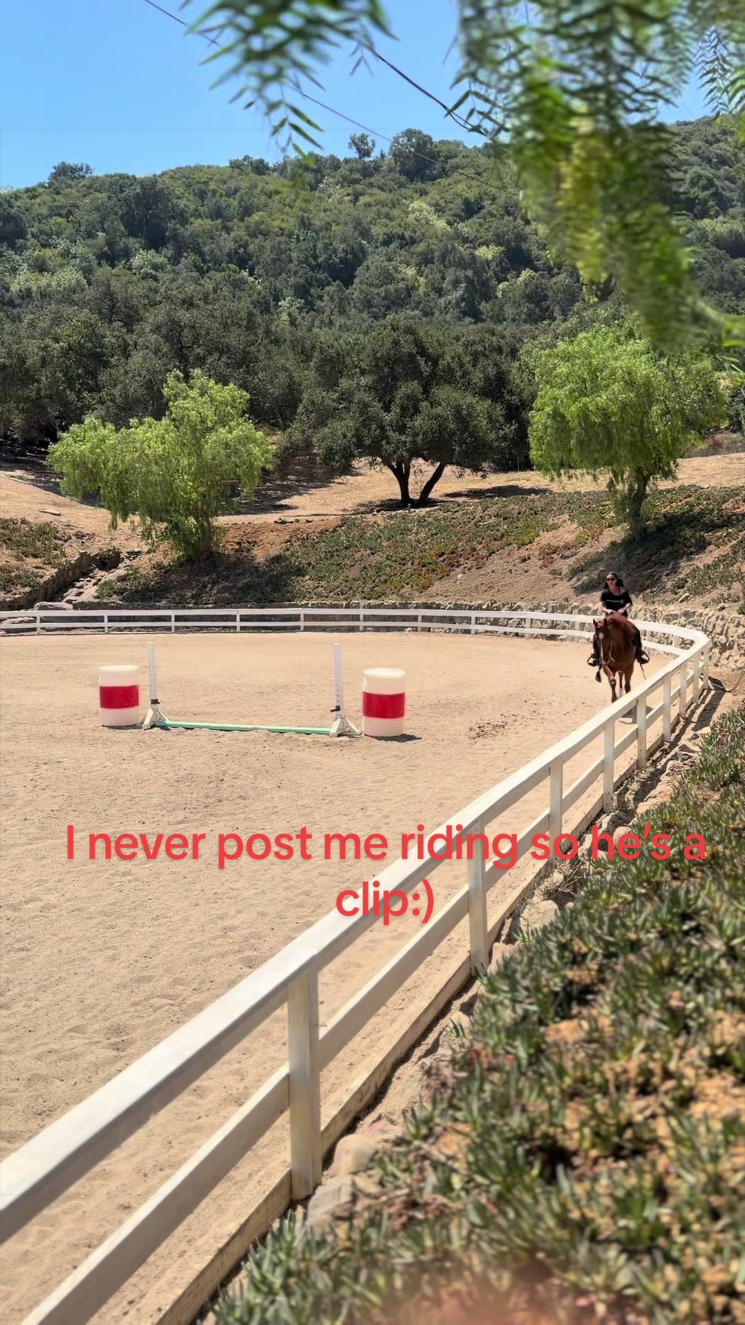 @runswiththeherd