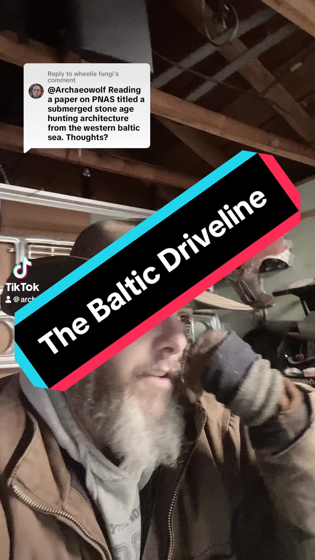 @Archaeowolf
