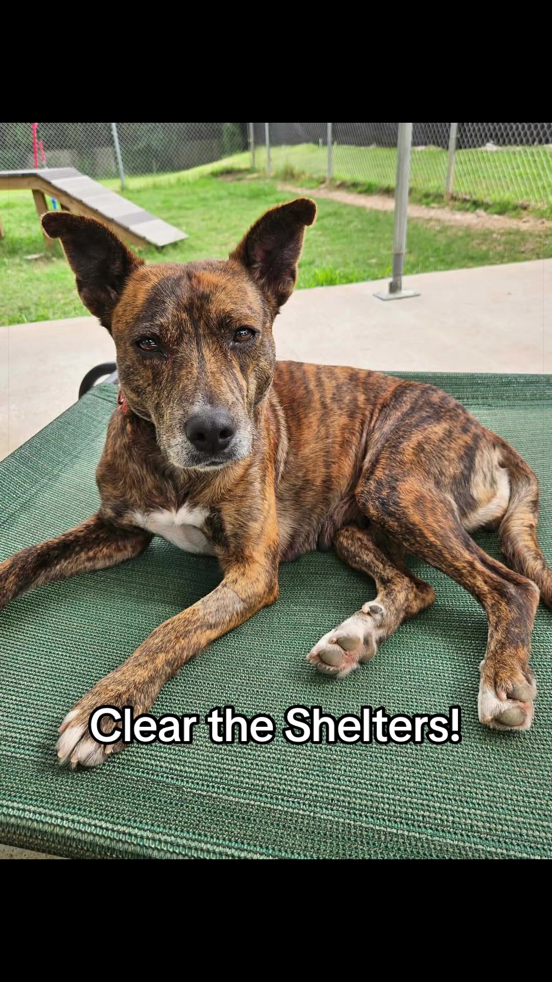 @Corridor Rescue Inc.