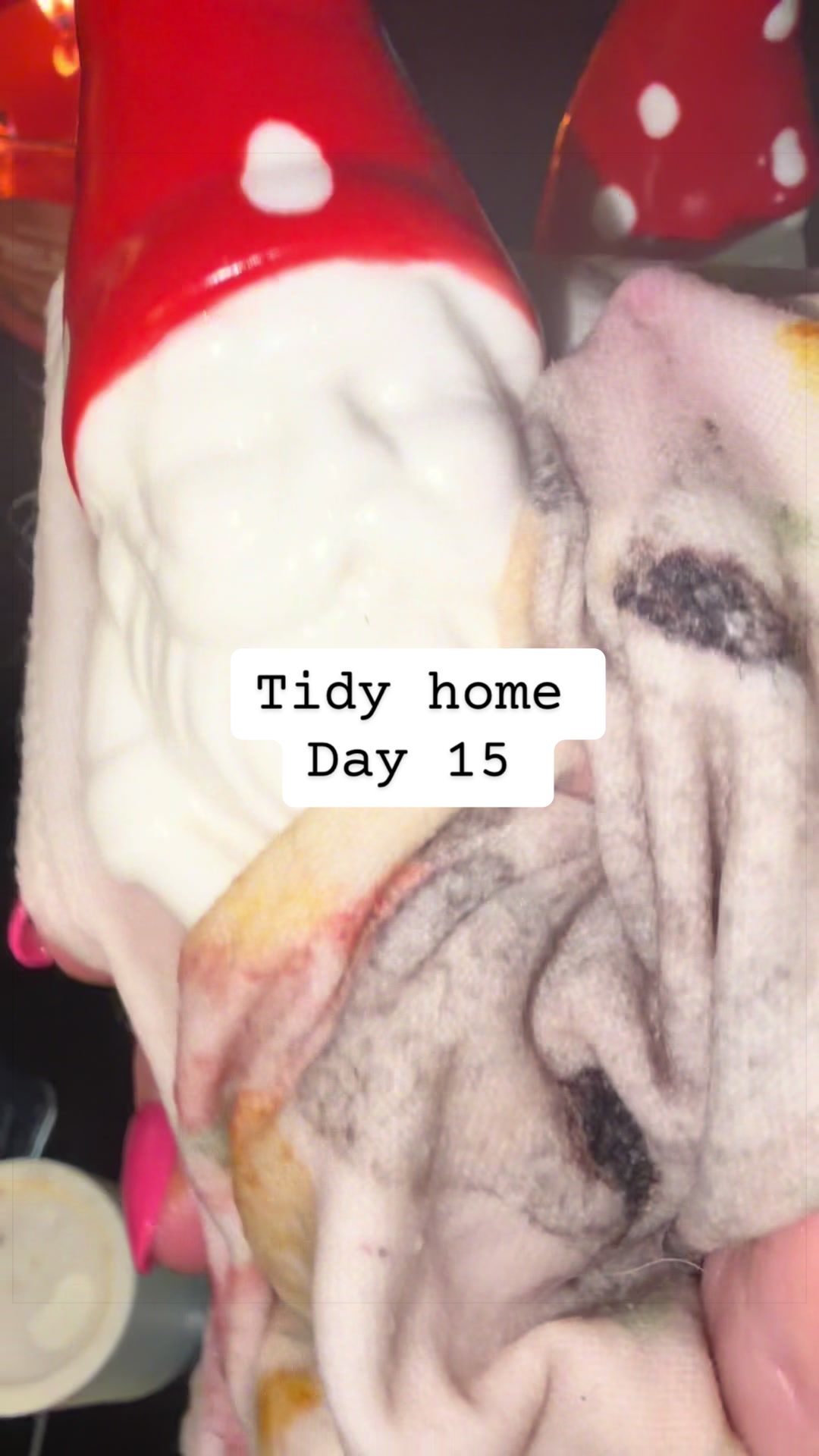 @Tidy_Tabitha