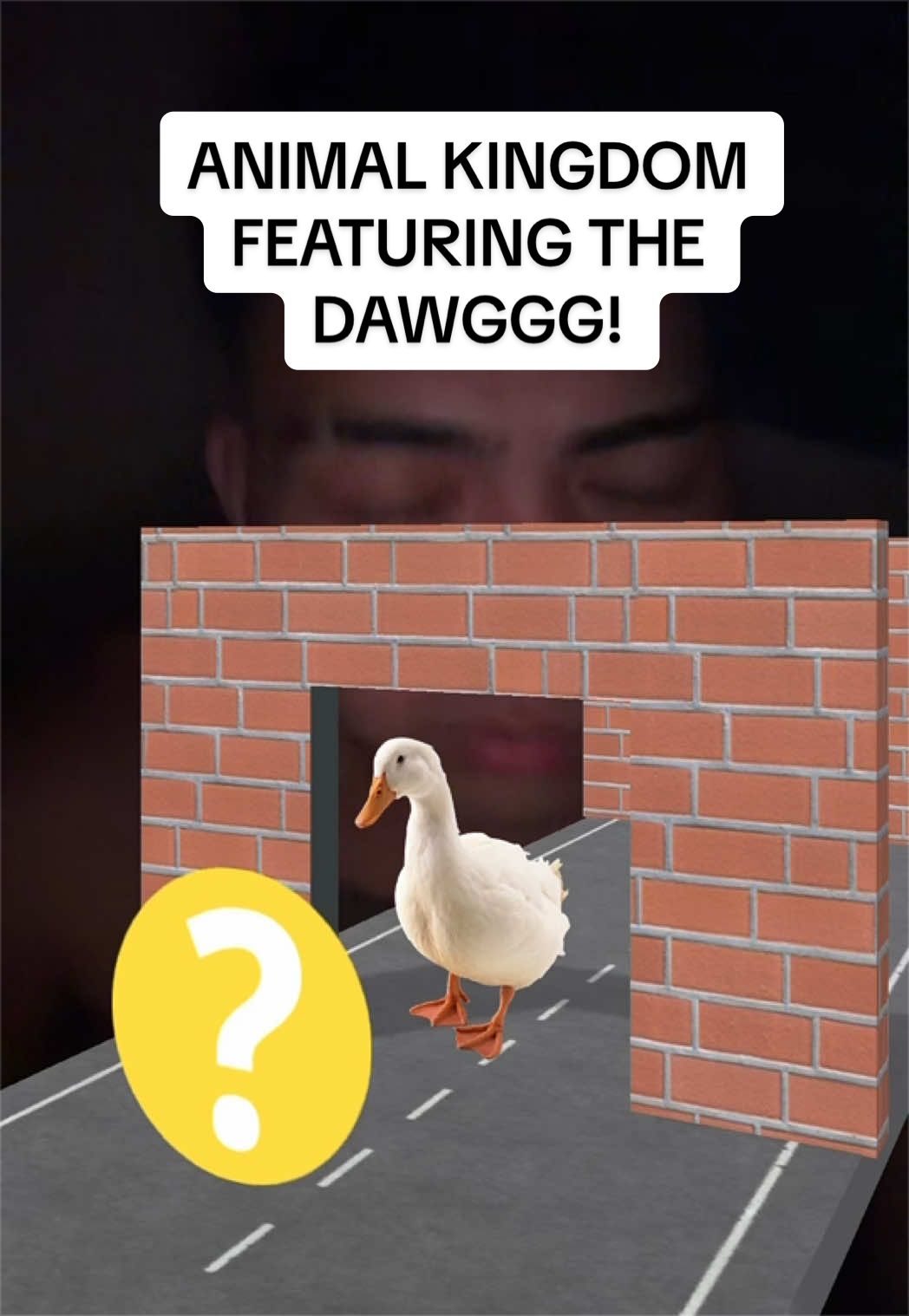 @BVSH