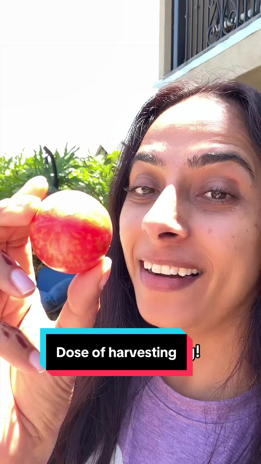 @Geeta.Sougu🌻