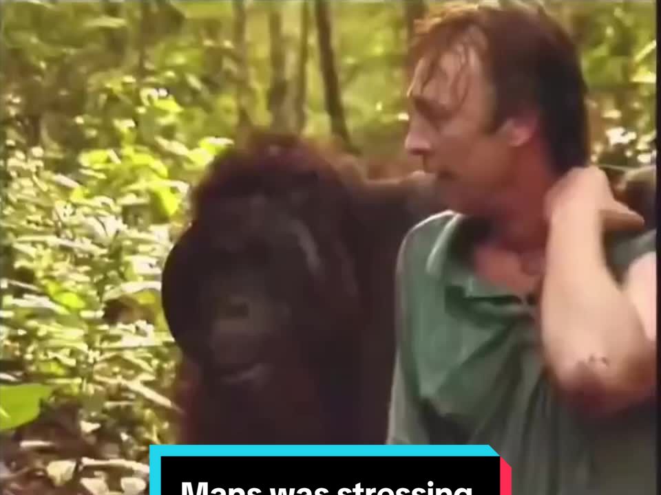 @Filayyyy
