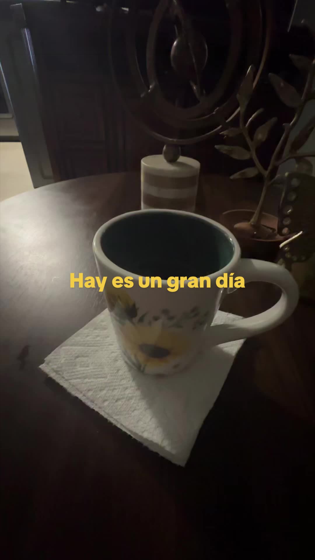 @carolicorniel6