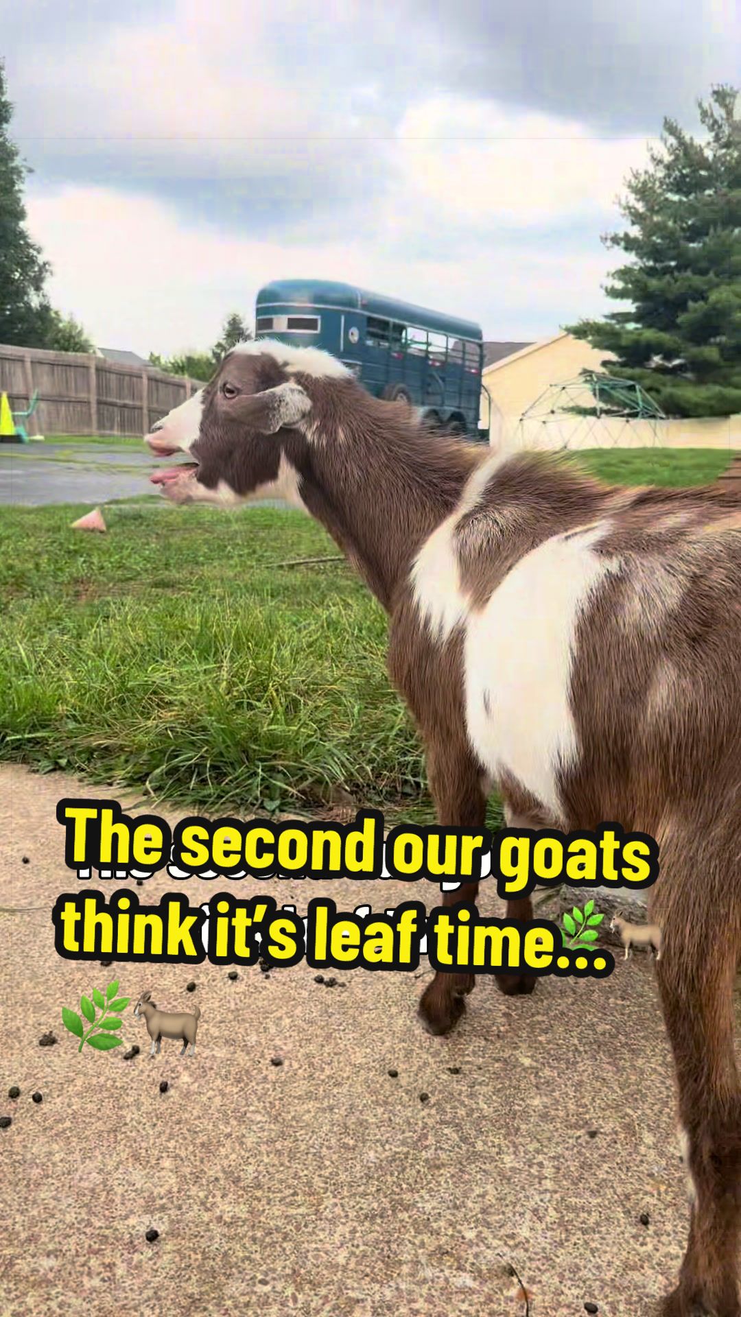 @KidsOnKerth 🐐 Hannah 💀🎃👻