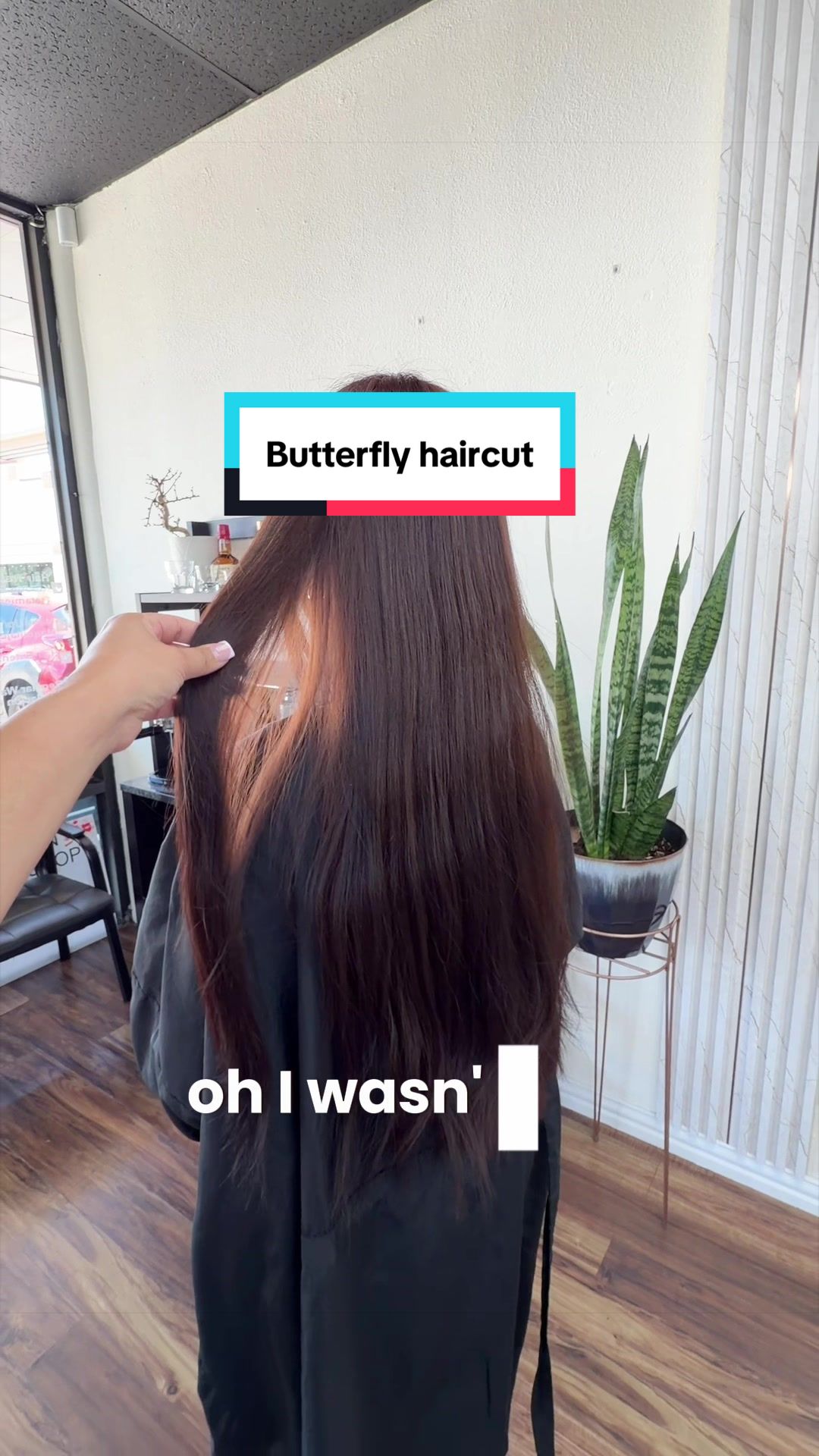 @Carolina hairstylist | DFW