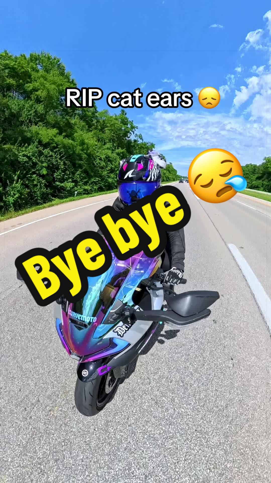 @curvemoto