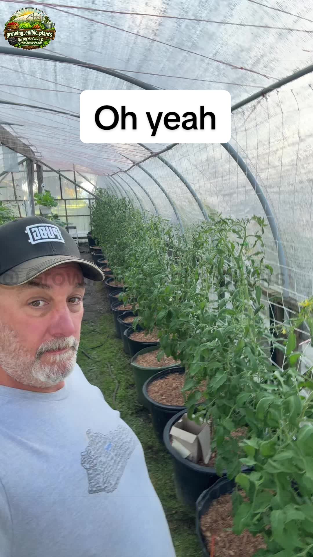 @GROWING_EDIBLE_PLANTS