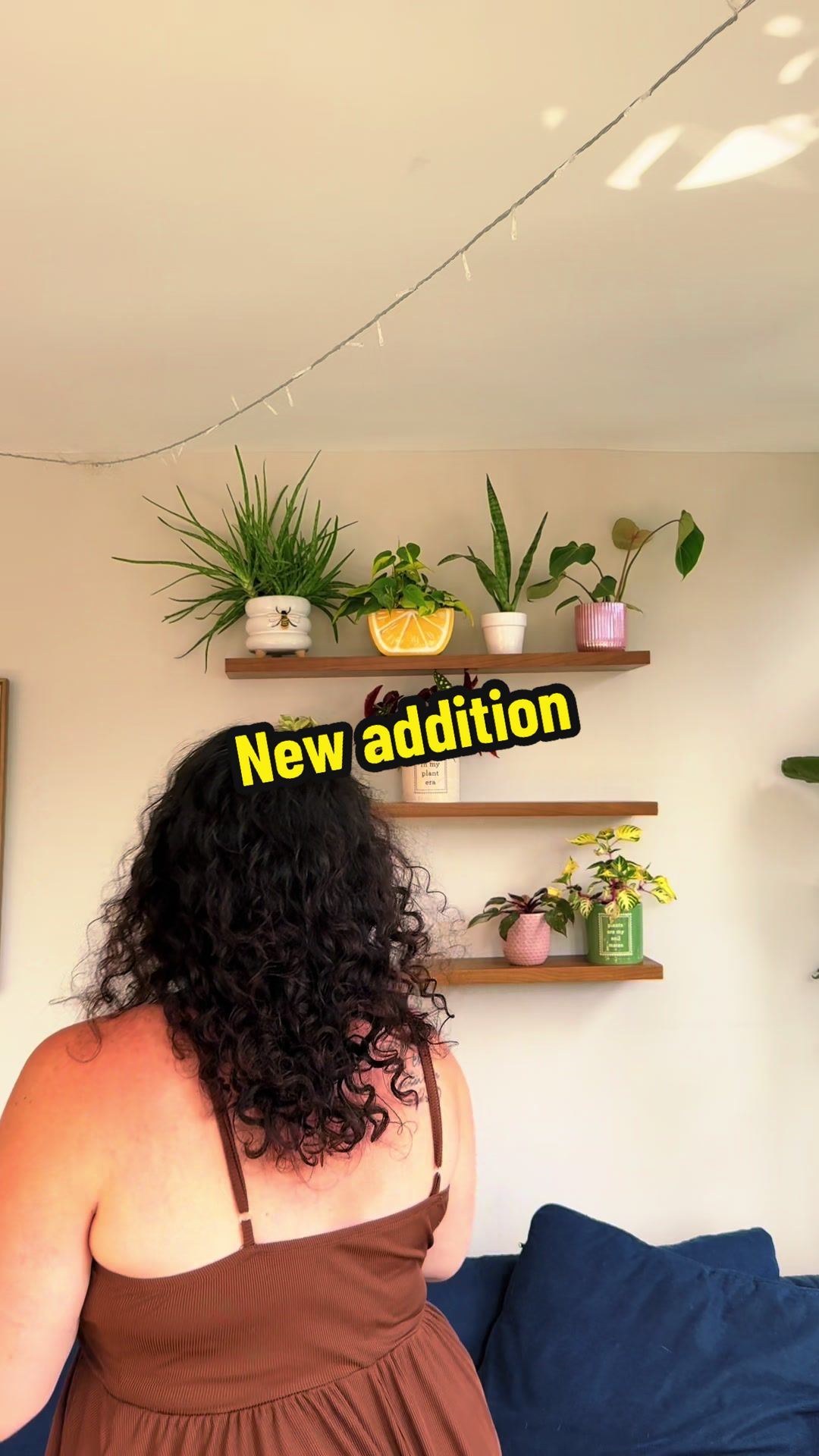 @Plant Girly 🪴