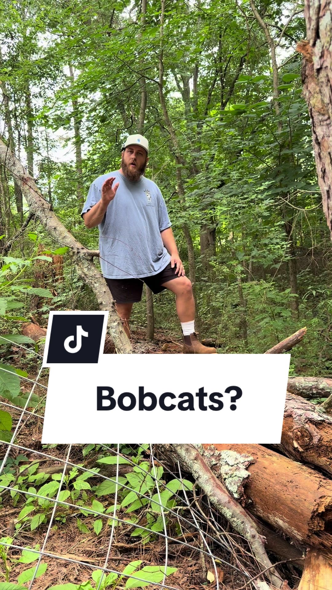@Bandrhomestead