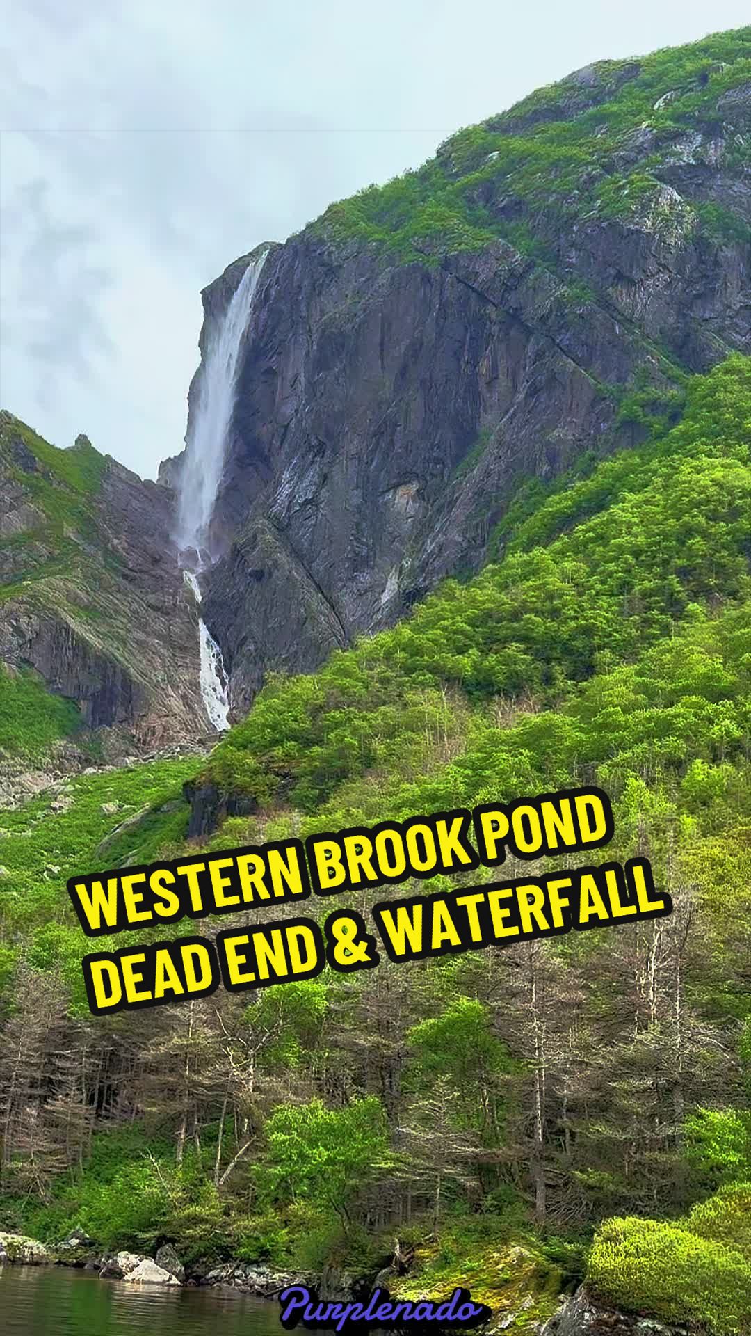 @Purplenado
