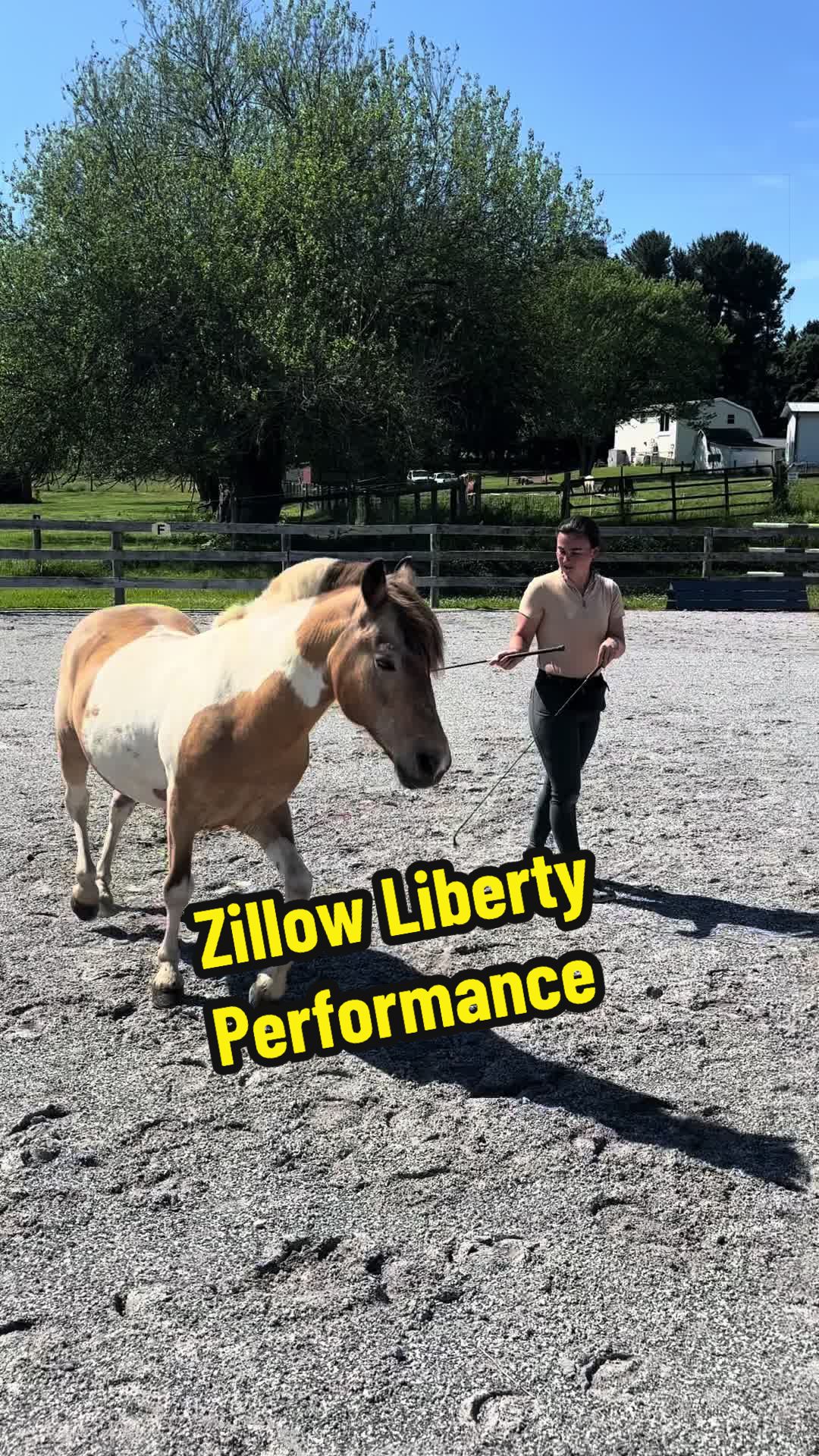 @Days End Farm Horse Rescue