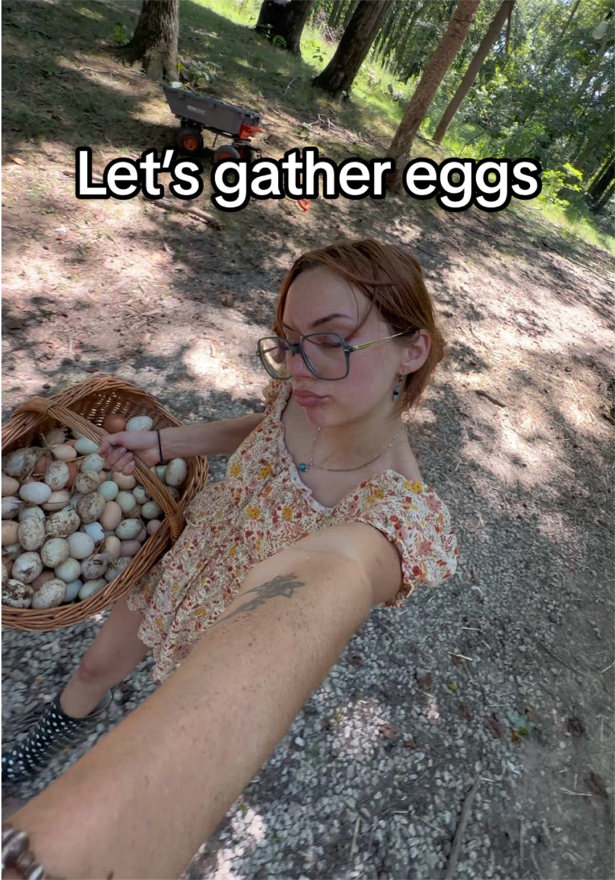 @Haley The Homesteader
