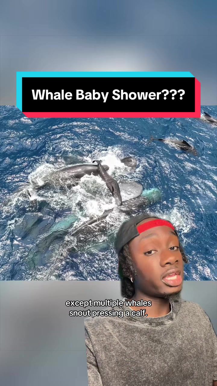 @mndiaye_97