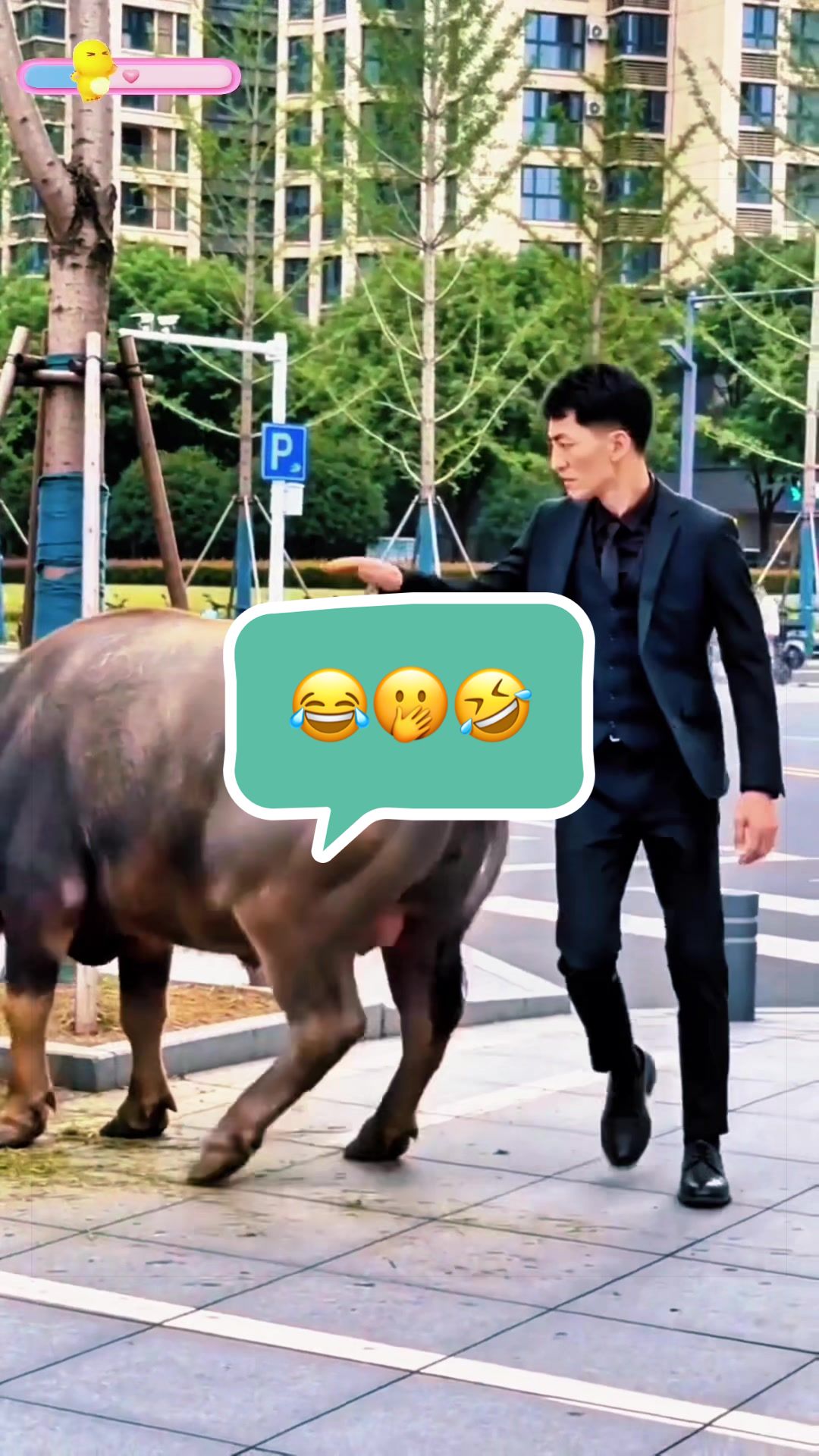 @caballeroviajero0317
