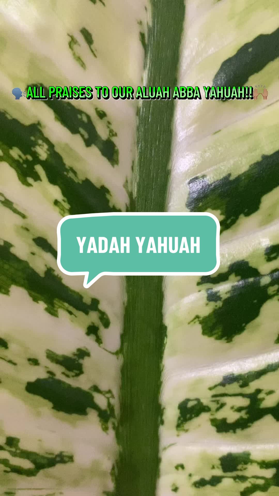 @YAHUshalum