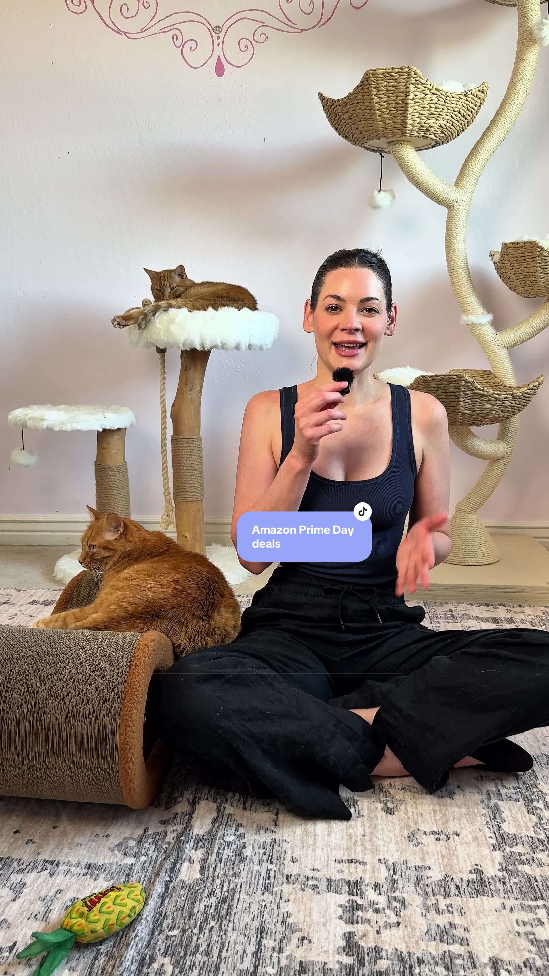 @Feminist Kitty | Cat Nutrition