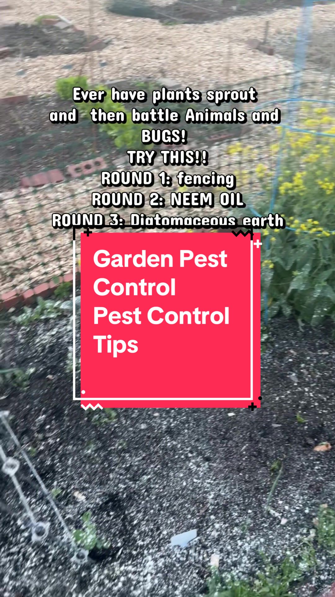 @greengirlgardens
