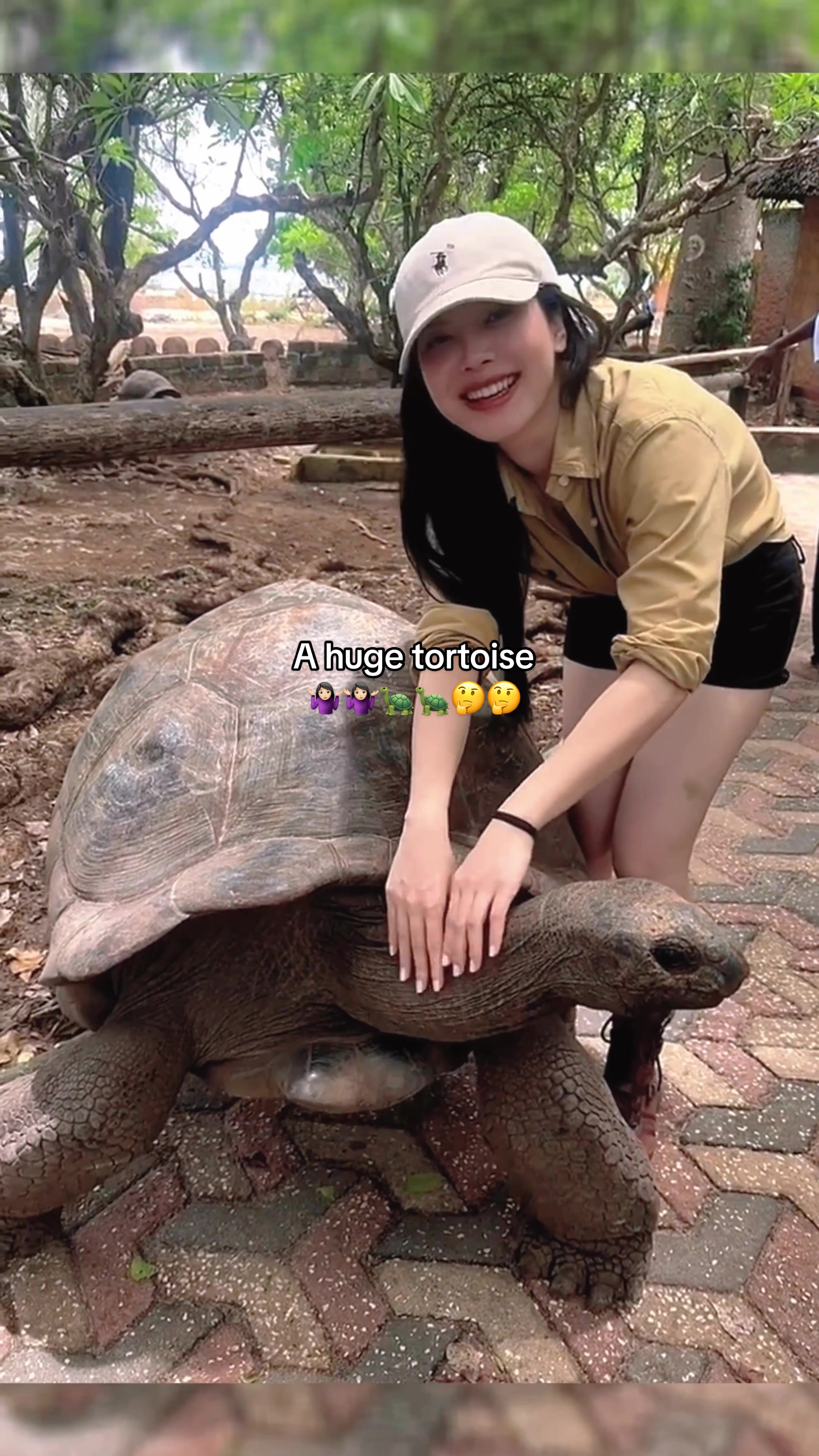 @Mr. Turtle