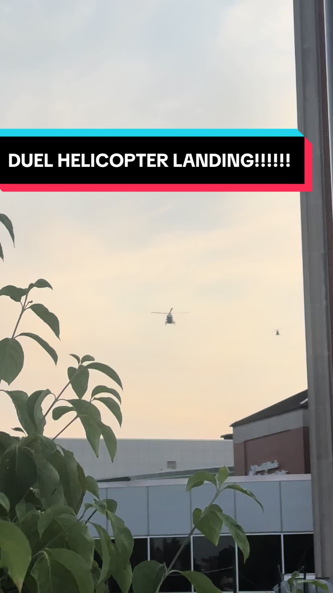 @The Heli guy🚁