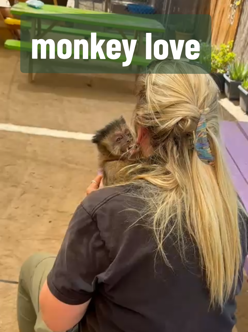 @AnimalTracksInc
