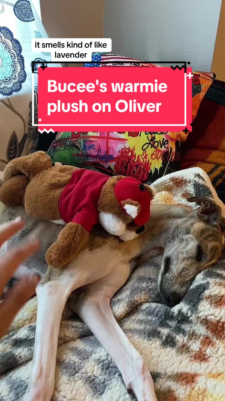 @sirolivercromwell