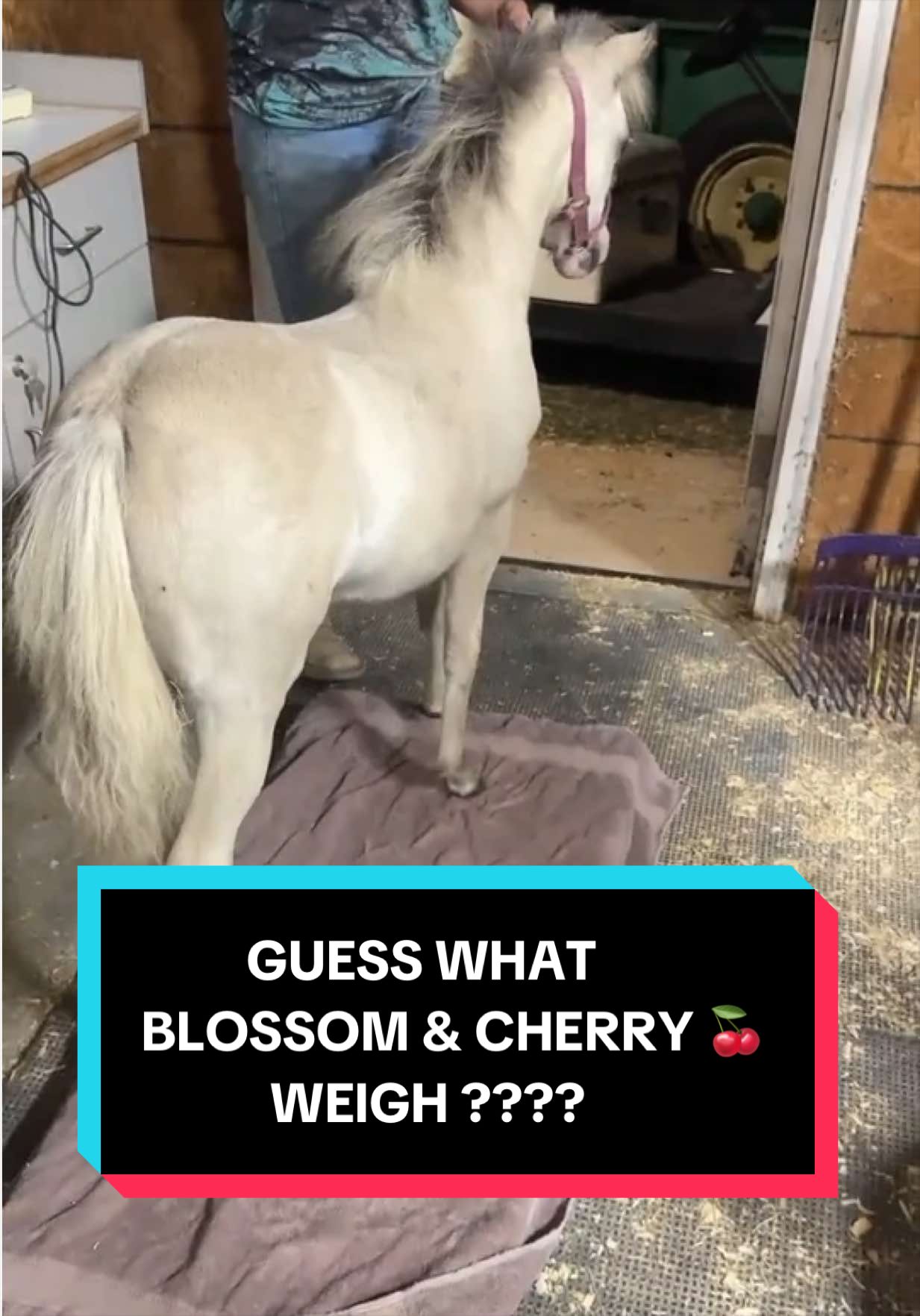 @Dr.Nicole-VetMed
