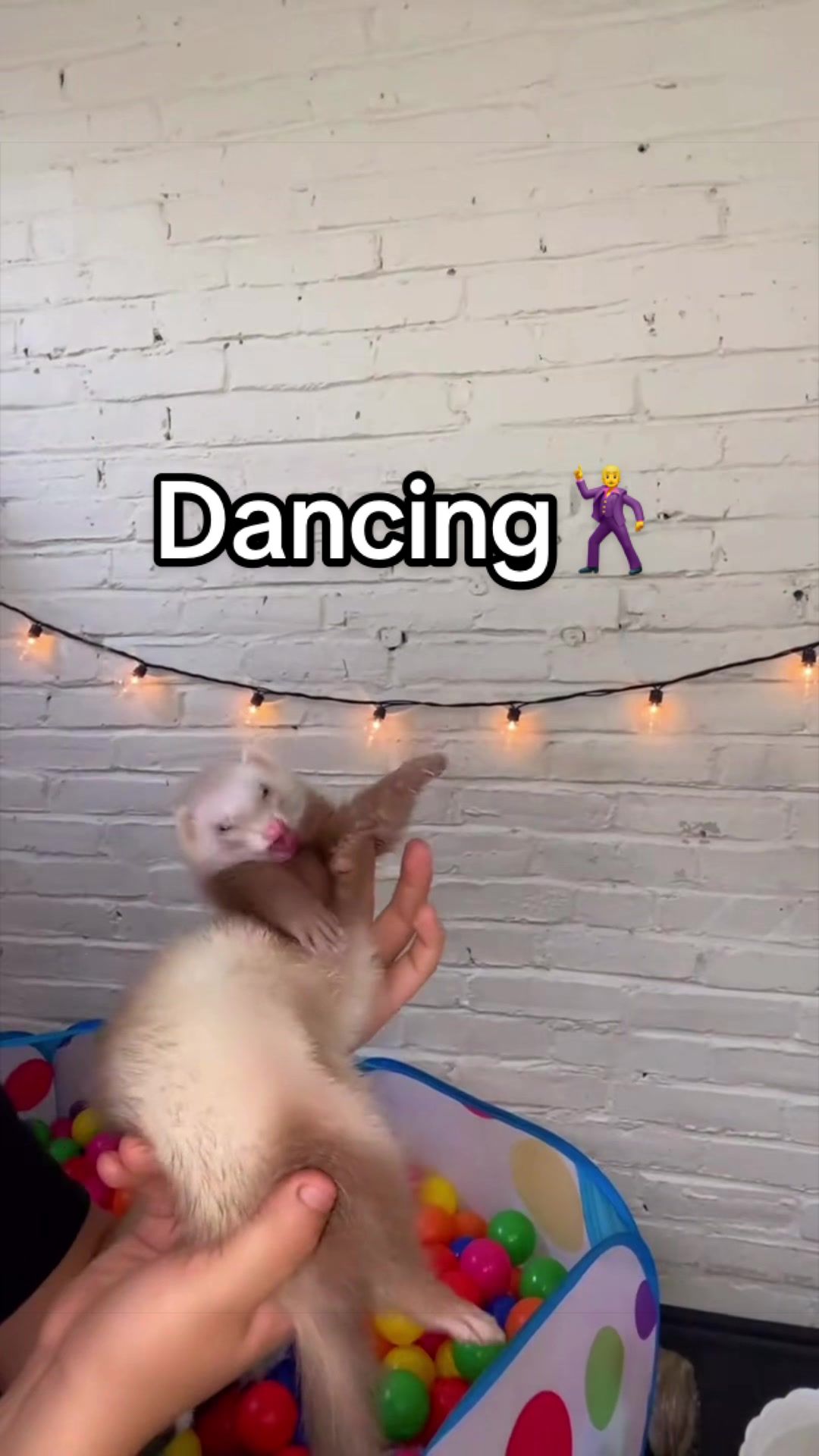 @Floofnoodles